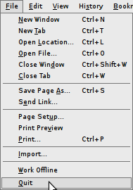 Firefox keyconfig prefs menu