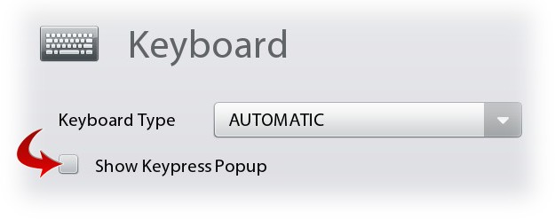 PlayBook keyboard keypress popup
