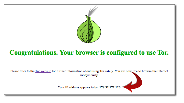 Tor Browser Check Results